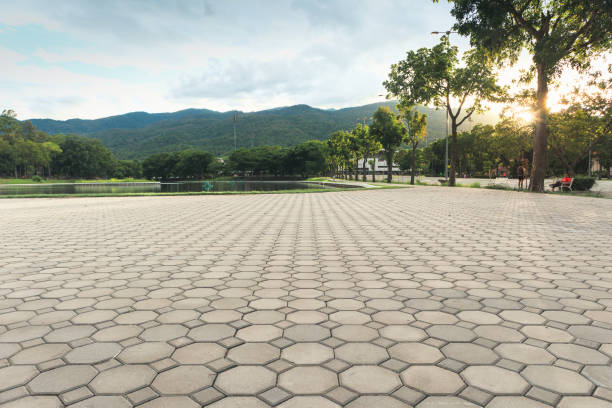 Best Commercial Driveway Pavers  in Gaston, SC